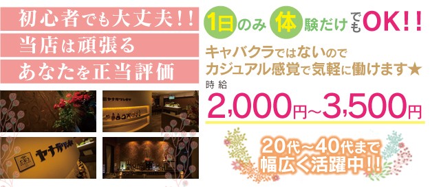 ヤナガワナイト